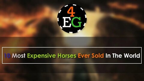 10 Most Expensive Horses Ever Sold In The World