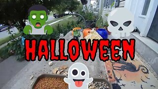 Halloween Camera October 11th! 🎃