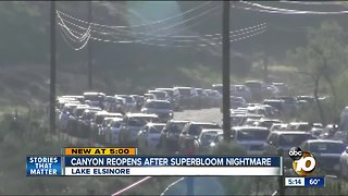 Canyon reopens after superbloom nightmare