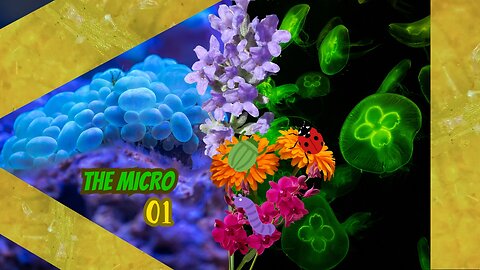 🔬🌼✨ Micro Music Mystics: Unveiling the Beauty of Nature! 🎶🔍 #microscope