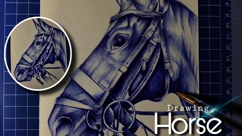 COMO DIBUJAR UN CABALLO CON BOLÍGRAFO || How to draw a Horse