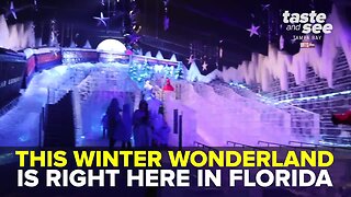 ICE at Gaylord Palms: The Polar Express | Taste and See Tampa Bay