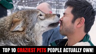 10 Craziest Pets People Actually Own