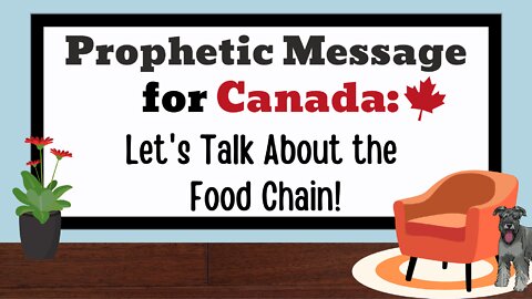 Let's Talk About the Food Chain!