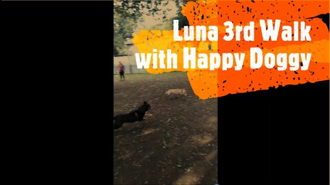 Luna 3rd Walk with Happy Doggy