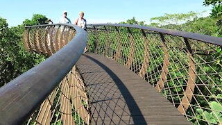 SOUTH AFRICA - Cape Town - Kirstenbosch National Botanical Garden (Video) (zr5)
