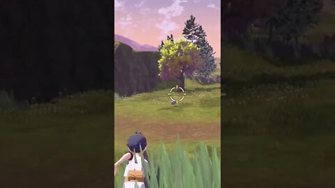 Pokémon Legends: Arceus - Catching Starly