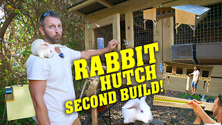 GROW OUT CAGE Built into a RABBIT HUTCH - GENIUS!!