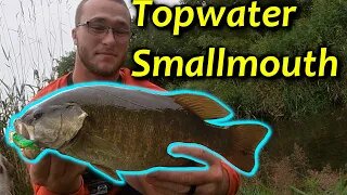 TOPWATER BLOWUPS (Smallmouth Bass in Tiny Creek)