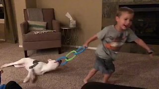 Kid plays tug-of-war with his puppy