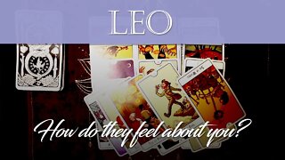 Leo💖 Stuck in a love triangle? How do they feel about you? November 25-December 1