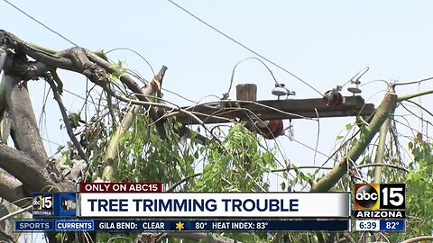 Homeowner criticizes 'extreme' SRP tree trimming for power lines