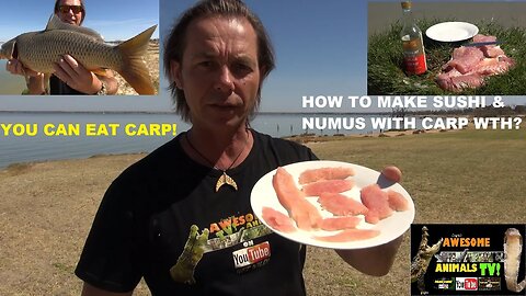 Survival Tips Solo (NO FOOD, NO WATER) SURVIVOR Fishing Sushi