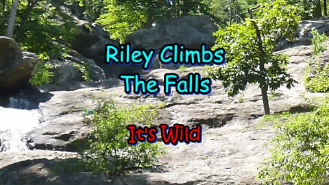 Riley Climbs The Falls