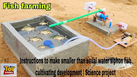 Instructions to make smaller than usual water siphon fish cultivating development | Science project