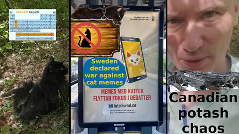 Unlimited resources. Reframe: Take control of the technocrats' tech! Sweden's war against cat memes