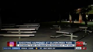 Teenager shot during robbery at Silver Creek Park