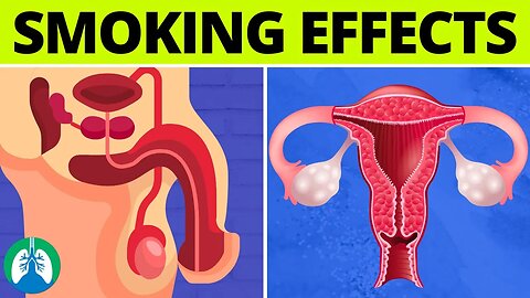 What are the Effects of Smoking on the Reproductive System?