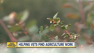Veterans becoming farmers through partnership with Hillsborough County