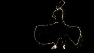 Sufi Meditation: Let Me Come Back to Source | Medicine Song Healing