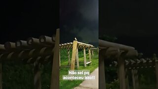 Descobrindo os segredos da misteriosa coruja no tronco do parque!