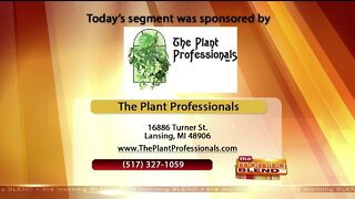 The Plant Professionals - 8/26/20