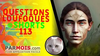 Questions Loufoques #shorts 113