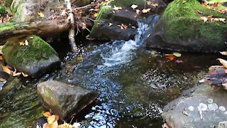 Adirondack Mountains - Beautiful Autumn Stream in the Mountains