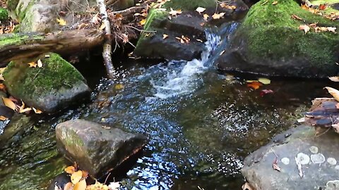 Adirondack Mountains - Beautiful Autumn Stream in the Mountains