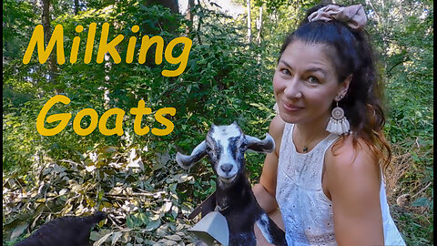 Adding Milking Goats to Our Farm