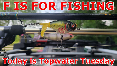 Today is Topwater Tuesday