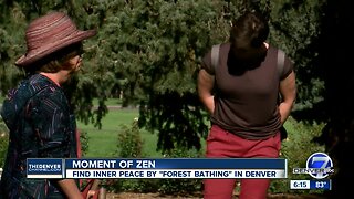 Going inside the new trend of 'forest bathing' in Colorado