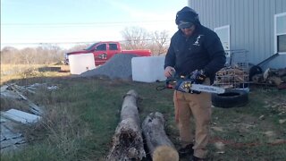 Is electric better then gas? Harvesting firewood with my electric chainsaws cutting firewood