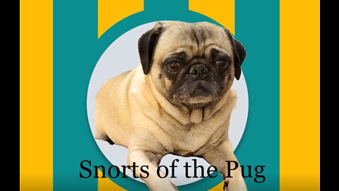 The Snorting Pug