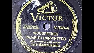 Glahé Musette Orchestra – Woodpecker (Pájaro Carpintero)