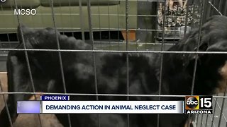 Protesters demand action in Mesa shelter animal neglect case