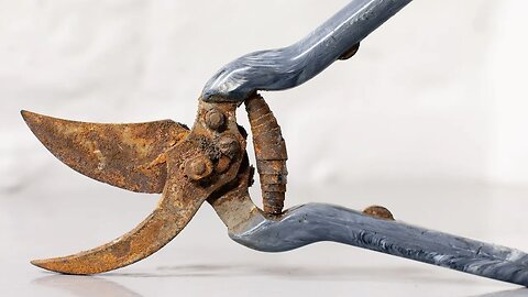 Rusty pruning shears restoration in my garage