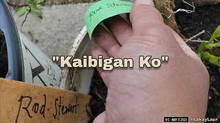 "Kaibigan Ko" 🍁