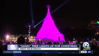 'Sandi' the sand tree lit for Christmas in West Palm Beach
