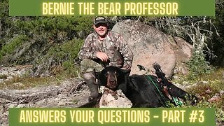 Your Bear hunting/bear baiting questions answered #3