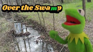 Kermit the Frog: Over the Swamp