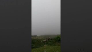 Early morning mist at Belever Tor . night hiking until dawn. GoPro.