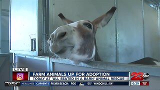 All Seated in a Barn hosts open barn event