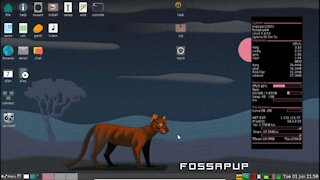 Puppy Linux (Fossapup64 9.5) Live Session on VirtualBox