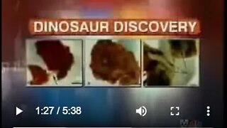 Soft T-Rex Dinosaur Tissue discovery by Mary Schweitzer