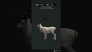 Albino Gold 🟡 Red Deer - theHunter: Call of the Wild #shorts