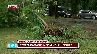 Storm knocks down trees in Seminole Heights 530pm