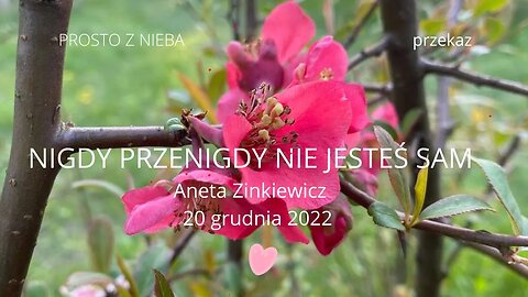 NIGDY PRZENIGDY NIE JESTEŚ SAM ANETA ZINKIEWICZ SD 480p