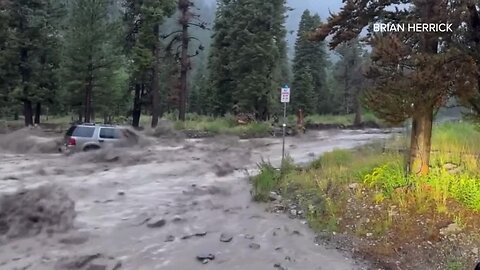 Flash flooding sweeps through Mt. Charleston