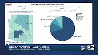 COVID-19 Delta variant on the rise in Arizona